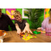 ASMODEE Stomp Stomp Chomp - 7669