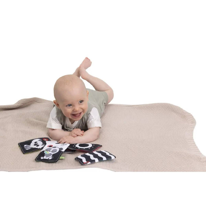 CHICCO Carte Bianco E Nero - 00012551000000