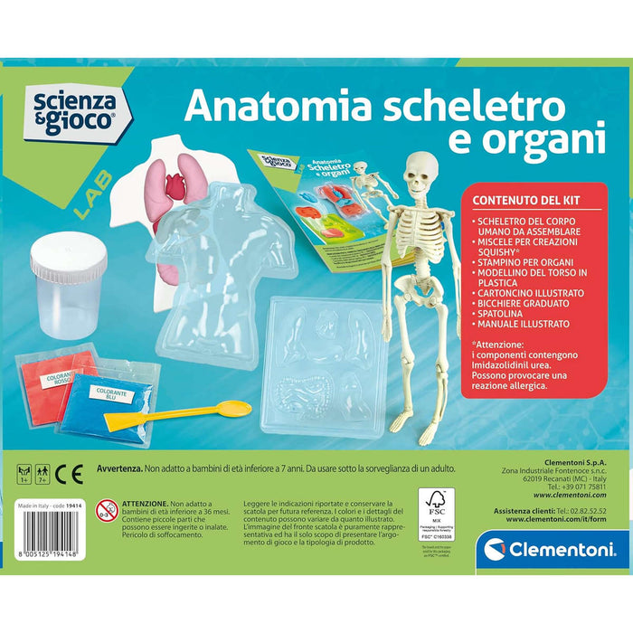 CLEMENTONI Anatomia Scheletro E Organi - 19414