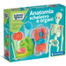 CLEMENTONI Anatomia Scheletro E Organi - 19414