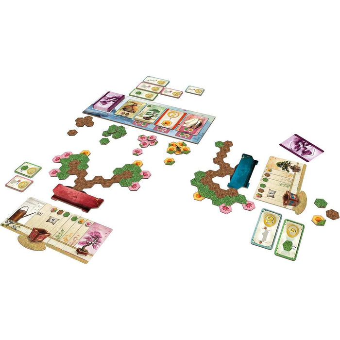 DV GIOCHI Bonsai - 9049