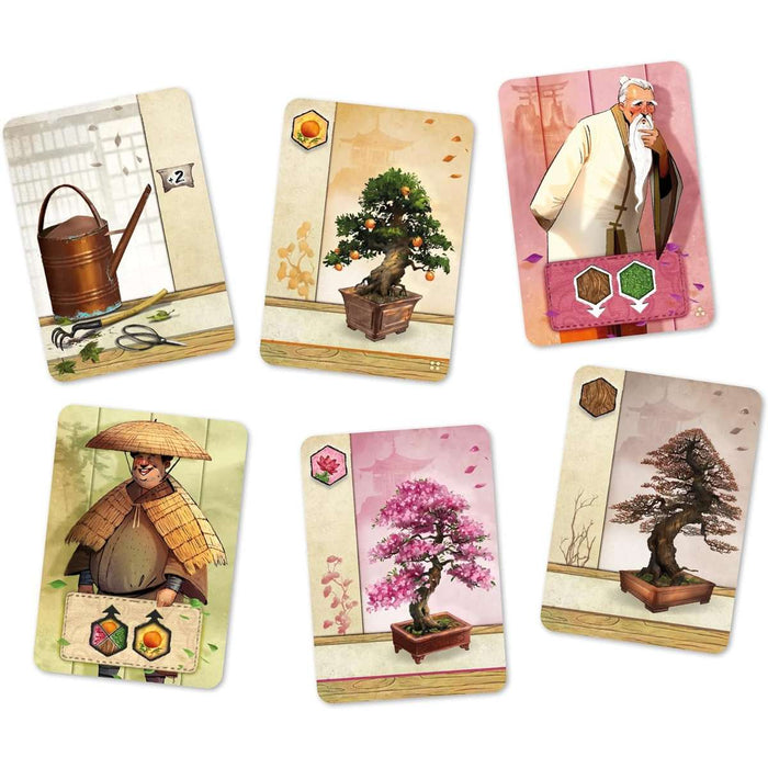 DV GIOCHI Bonsai - 9049