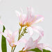 EDG Ramo Giglio Artificiale H 67 Cm Bianco Rosa - 2100614A150