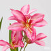EDG Ramo Giglio Artificiale H 67 Cm Rosa Scuro - 2100614A553