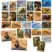 HEADU Memorix 108 Animal Cards - MU63378