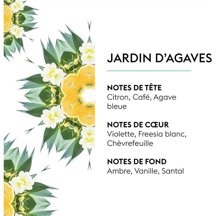 MAISON BERGER Jardin D'Agaves Ricarica Per Lampada Catalitica 500 Ml - 115153