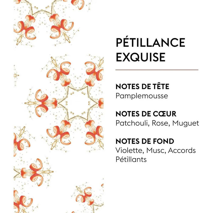 MAISON BERGER Pétillance Exquise Ricarica Per Lampada Catalitica 1 Lt - 6188