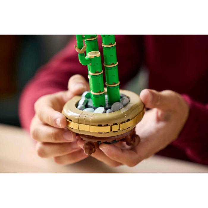 LEGO Bambù Del Buon Auspicio - 10344