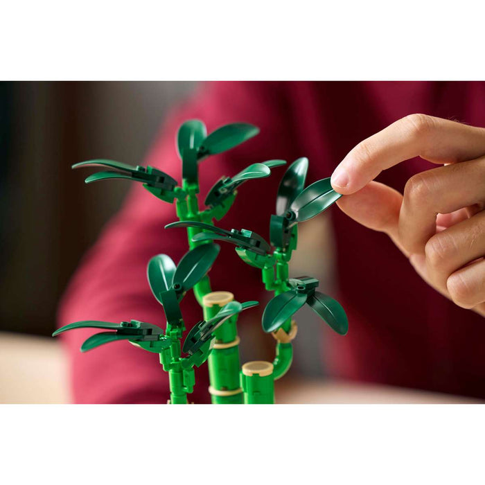LEGO Bambù Del Buon Auspicio - 10344