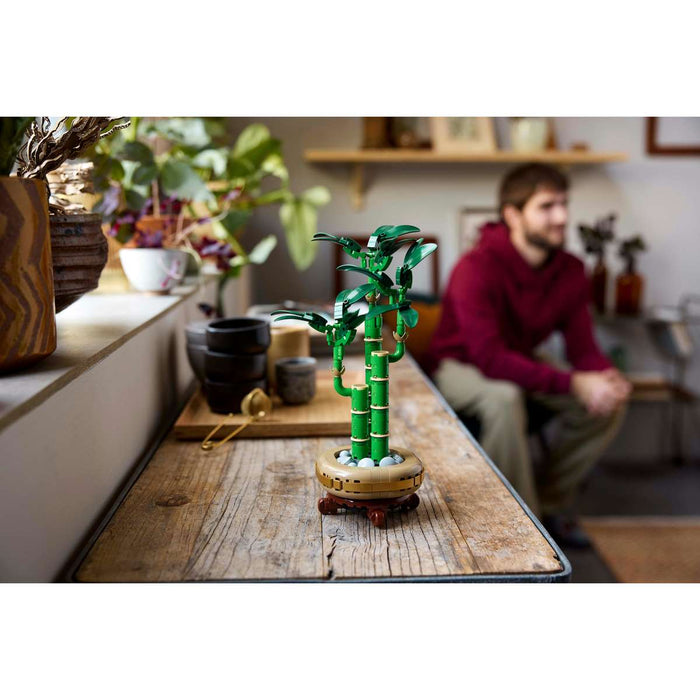 LEGO Bambù Del Buon Auspicio - 10344