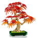 LEGO Bonsai Di Acero Rosso Giapponese - 10348