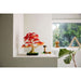 LEGO Bonsai Di Acero Rosso Giapponese - 10348