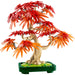 LEGO Bonsai Di Acero Rosso Giapponese - 10348