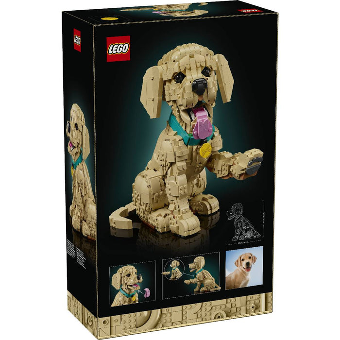 LEGO Cucciolo Di Golden Retriever - 11384