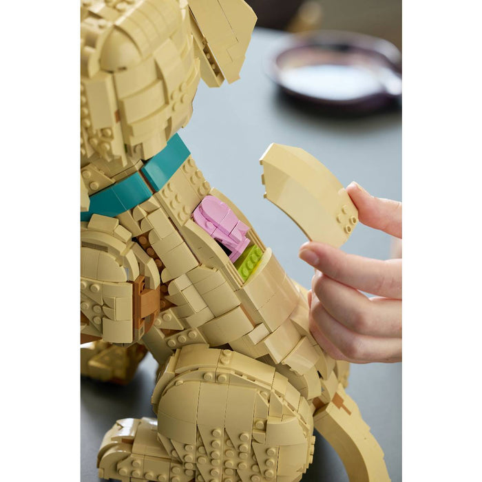 LEGO Cucciolo Di Golden Retriever - 11384