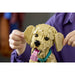 LEGO Cucciolo Di Golden Retriever - 11384