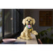 LEGO Cucciolo Di Golden Retriever - 11384