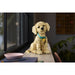 LEGO Cucciolo Di Golden Retriever - 11384