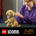 LEGO Cucciolo Di Golden Retriever - 11384
