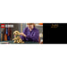 LEGO Cucciolo Di Golden Retriever - 11384