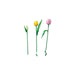 LEGO Bouquet Di Tulipani - 11501