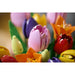 LEGO Bouquet Di Tulipani - 11501