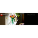 LEGO Bouquet Di Tulipani - 11501