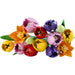 LEGO Bouquet Di Tulipani - 11501