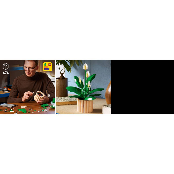 LEGO Botanicals Spatifillo - 11504