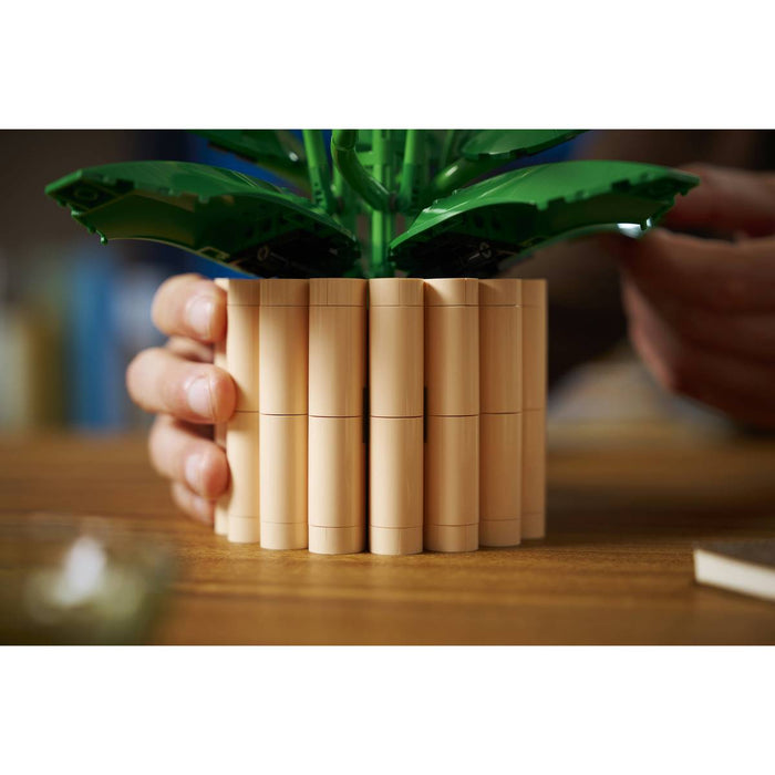 LEGO Botanicals Spatifillo - 11504