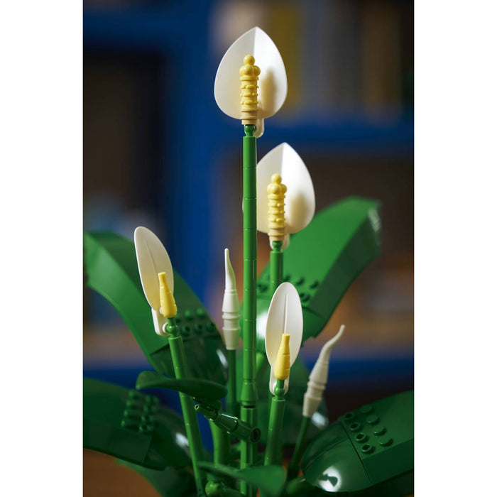 LEGO Botanicals Spatifillo - 11504