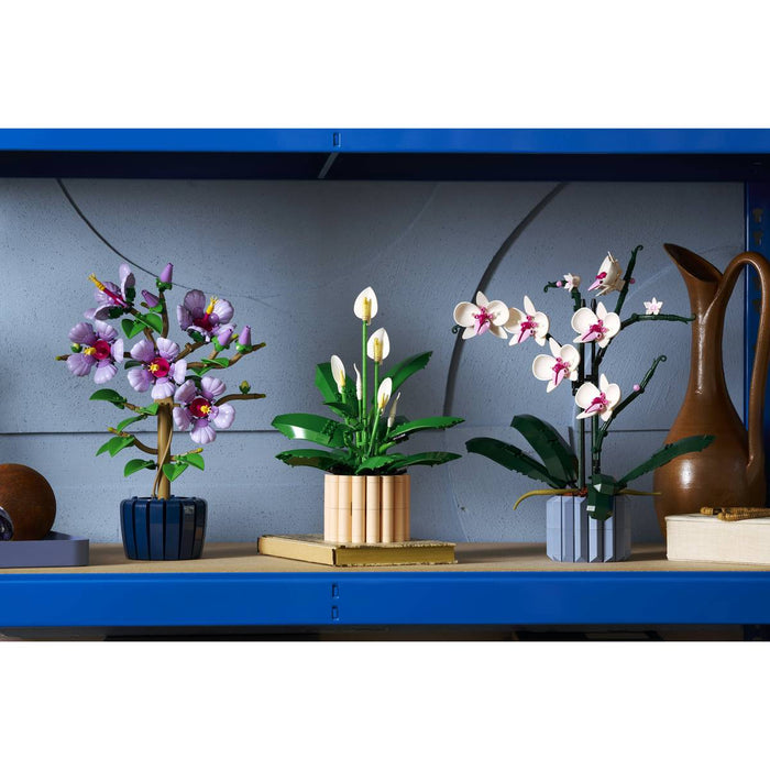 LEGO Botanicals Spatifillo - 11504