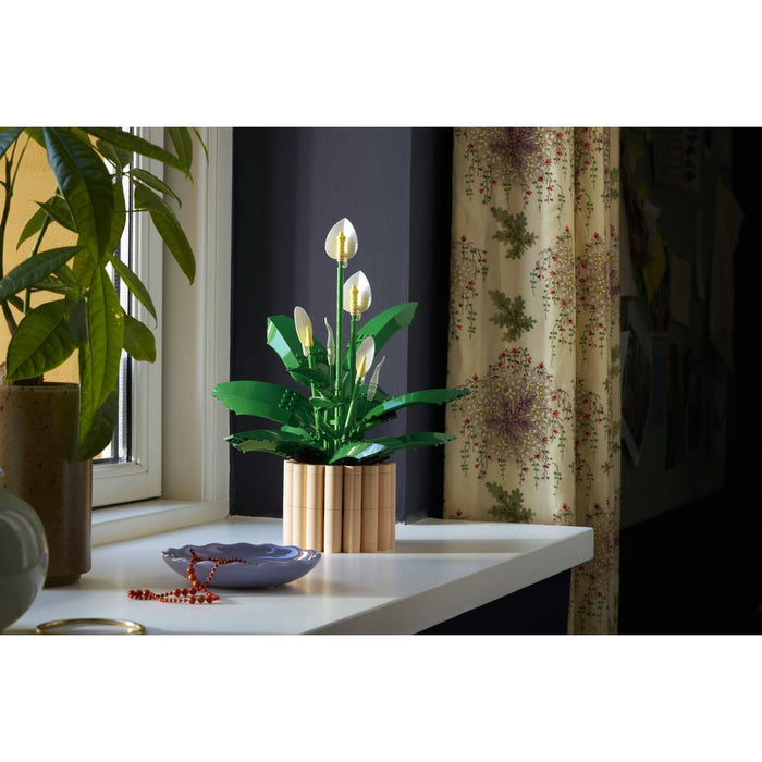 LEGO Botanicals Spatifillo - 11504