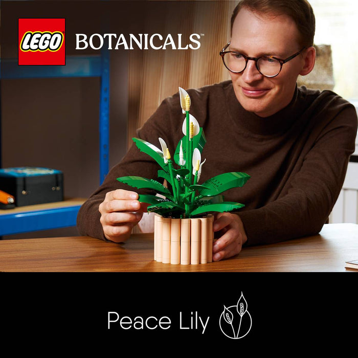 LEGO Botanicals Spatifillo - 11504