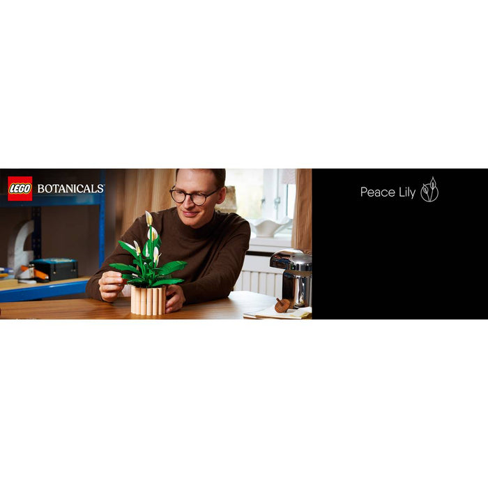 LEGO Botanicals Spatifillo - 11504