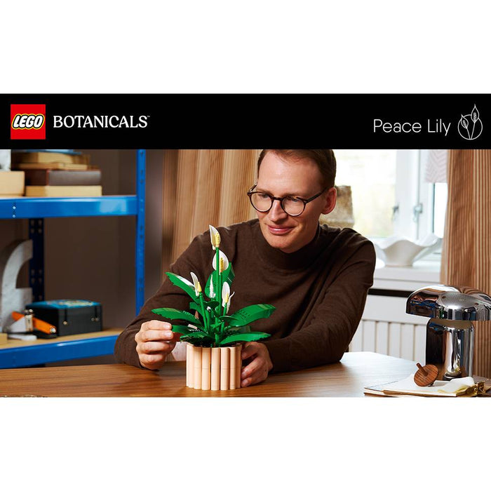 LEGO Botanicals Spatifillo - 11504