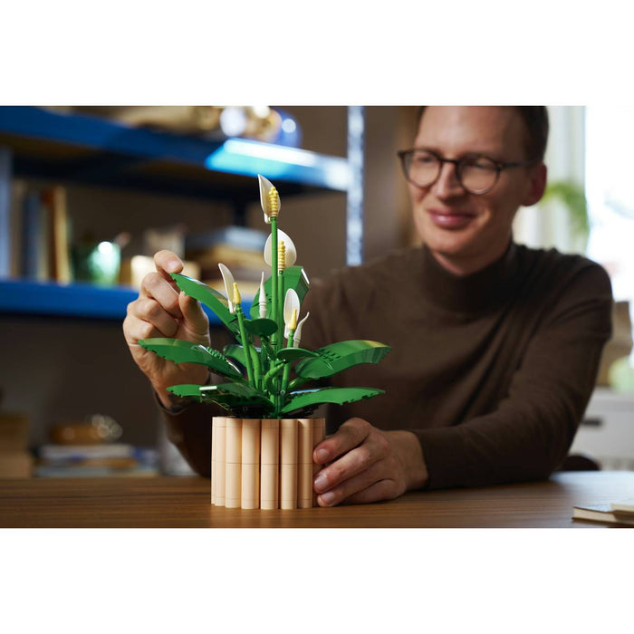 LEGO Botanicals Spatifillo - 11504
