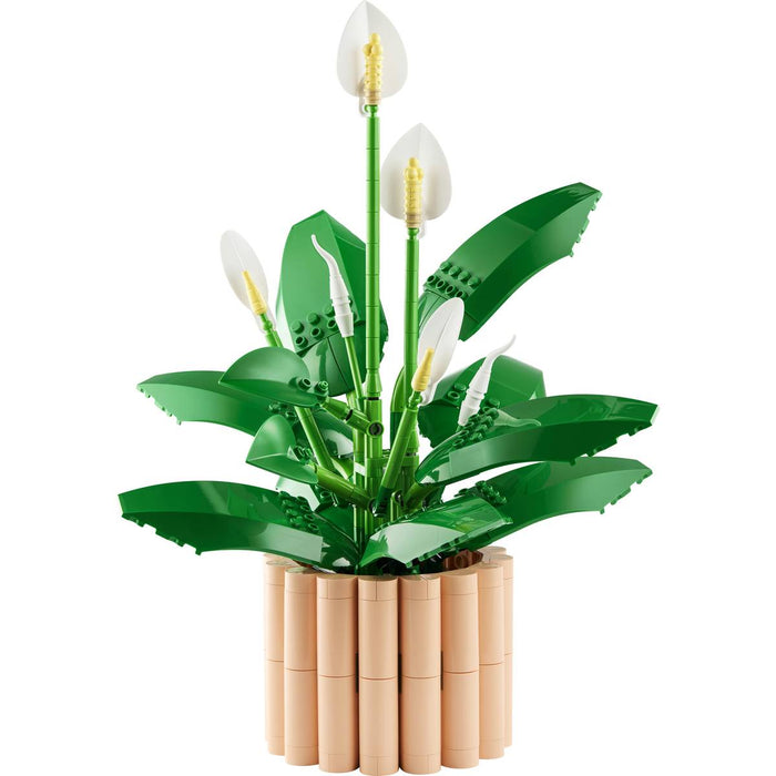 LEGO Botanicals Spatifillo - 11504