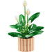 LEGO Botanicals Spatifillo - 11504