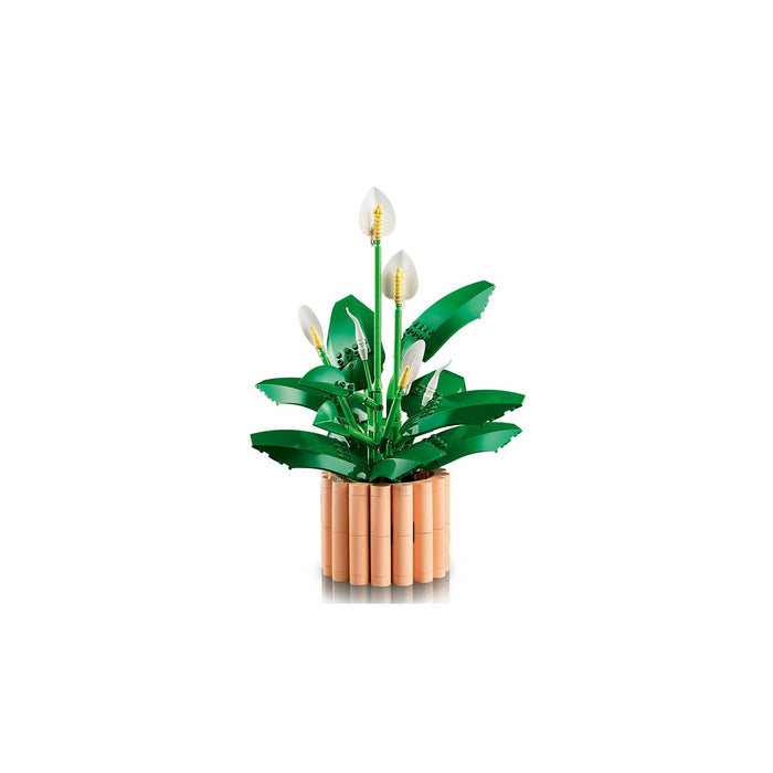 LEGO Botanicals Spatifillo - 11504