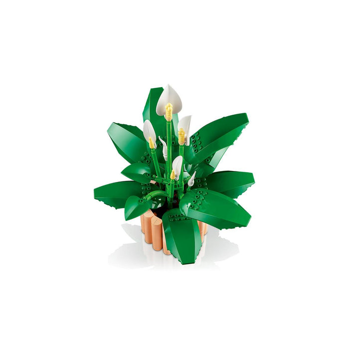 LEGO Botanicals Spatifillo - 11504
