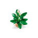 LEGO Botanicals Spatifillo - 11504