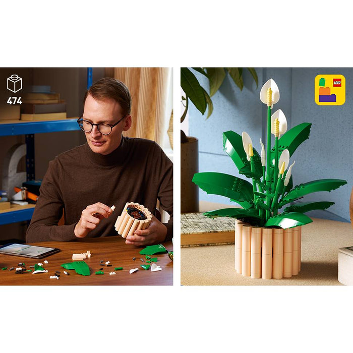 LEGO Botanicals Spatifillo - 11504