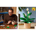 LEGO Botanicals Spatifillo - 11504