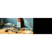 LEGO Lontre Marine - 21366