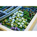 LEGO Claude Monet - Lo Stagno Delle Ninfee - 31220