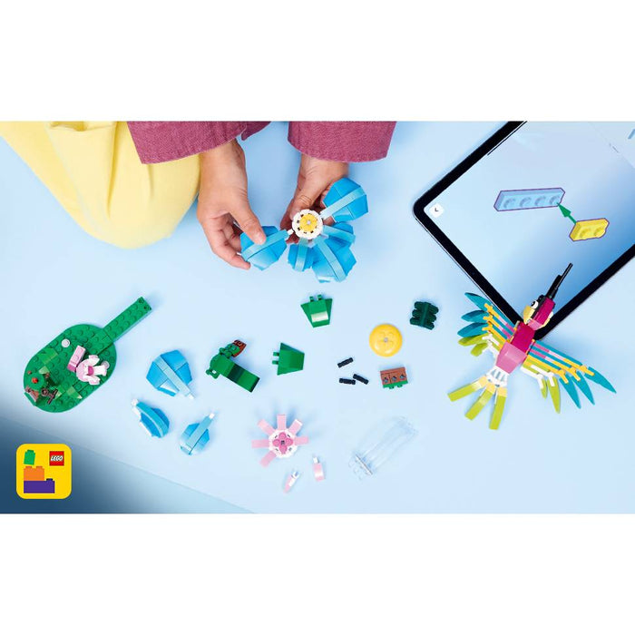 LEGO Animali Selvatici Colibri Variopinto - 31384
