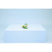LEGO Animali Selvatici Colibri Variopinto - 31384