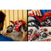 LEGO Motocicletta Ducati Panigale V4 S - 42202