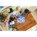 LEGO Frozen Calendario Dell’Avvento 2025 - 43273